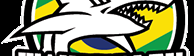 Main image of Wanderley Jiu Jitsu & MMA