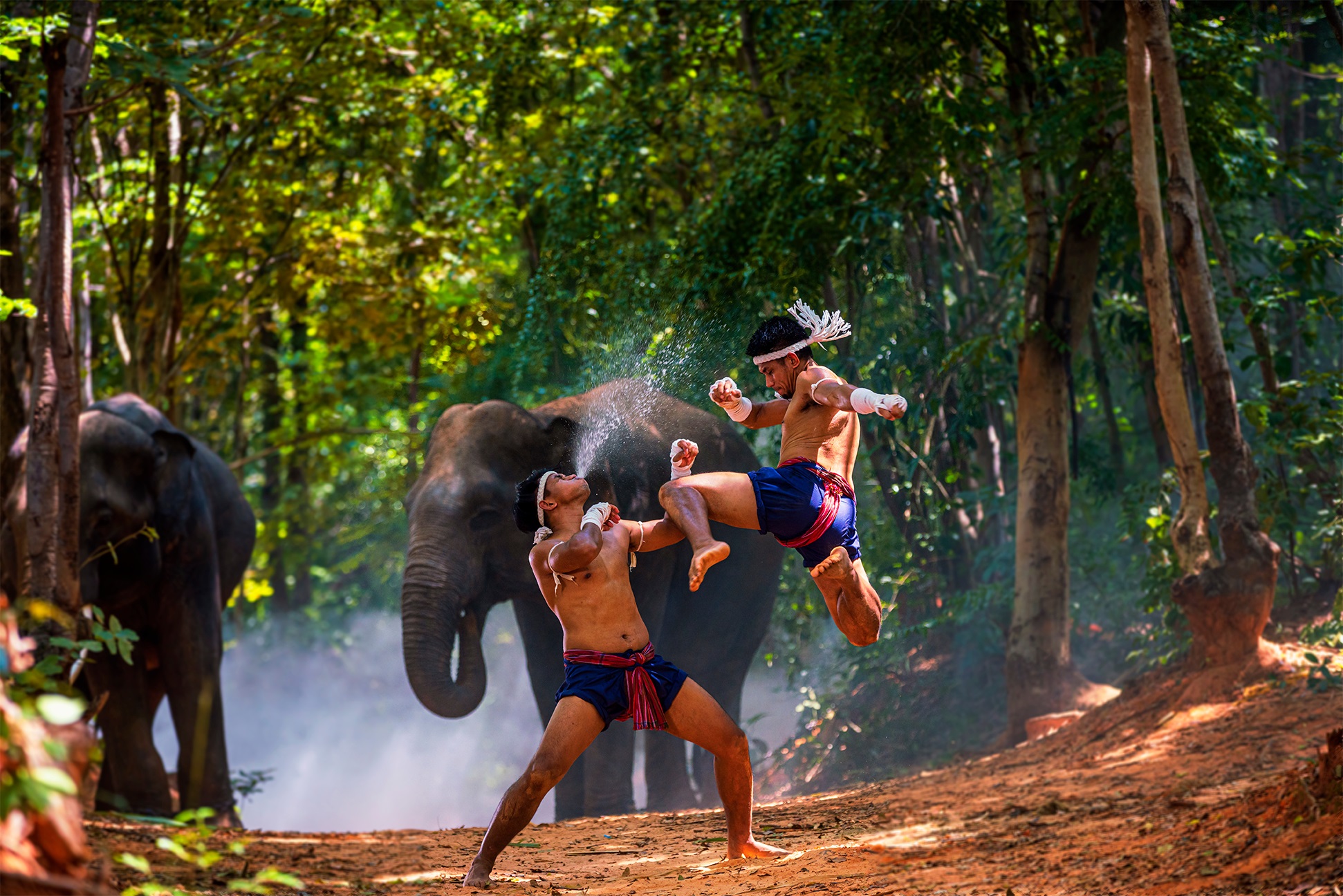 Jatubaht Szczecin – Muay Thai & Treningi Boksu Tajskiego academy photo