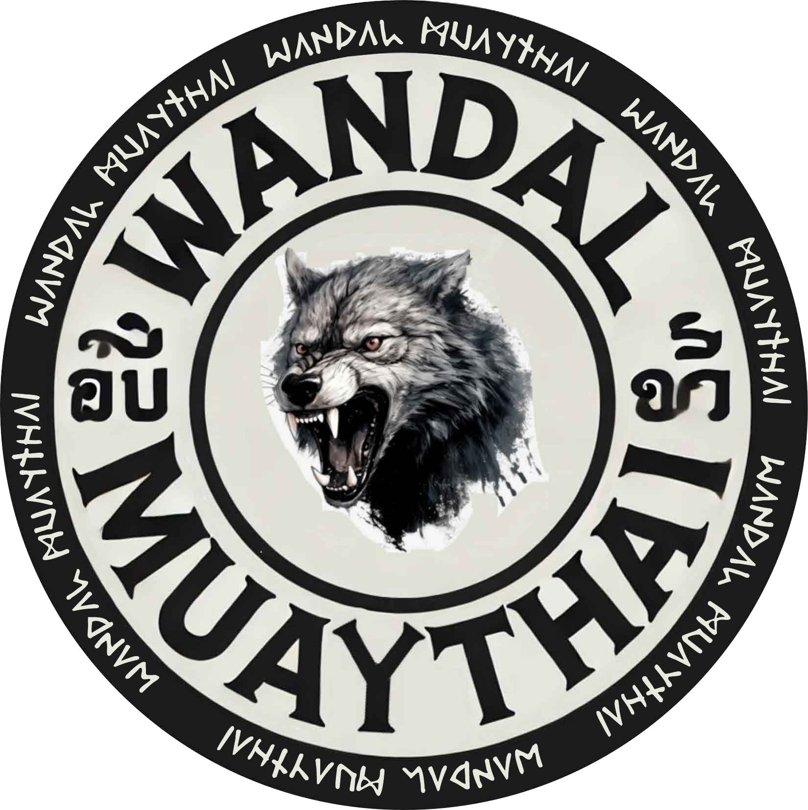 Muay Thai & Boxing School academy photo