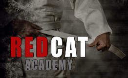 Main image of Redcat Academy