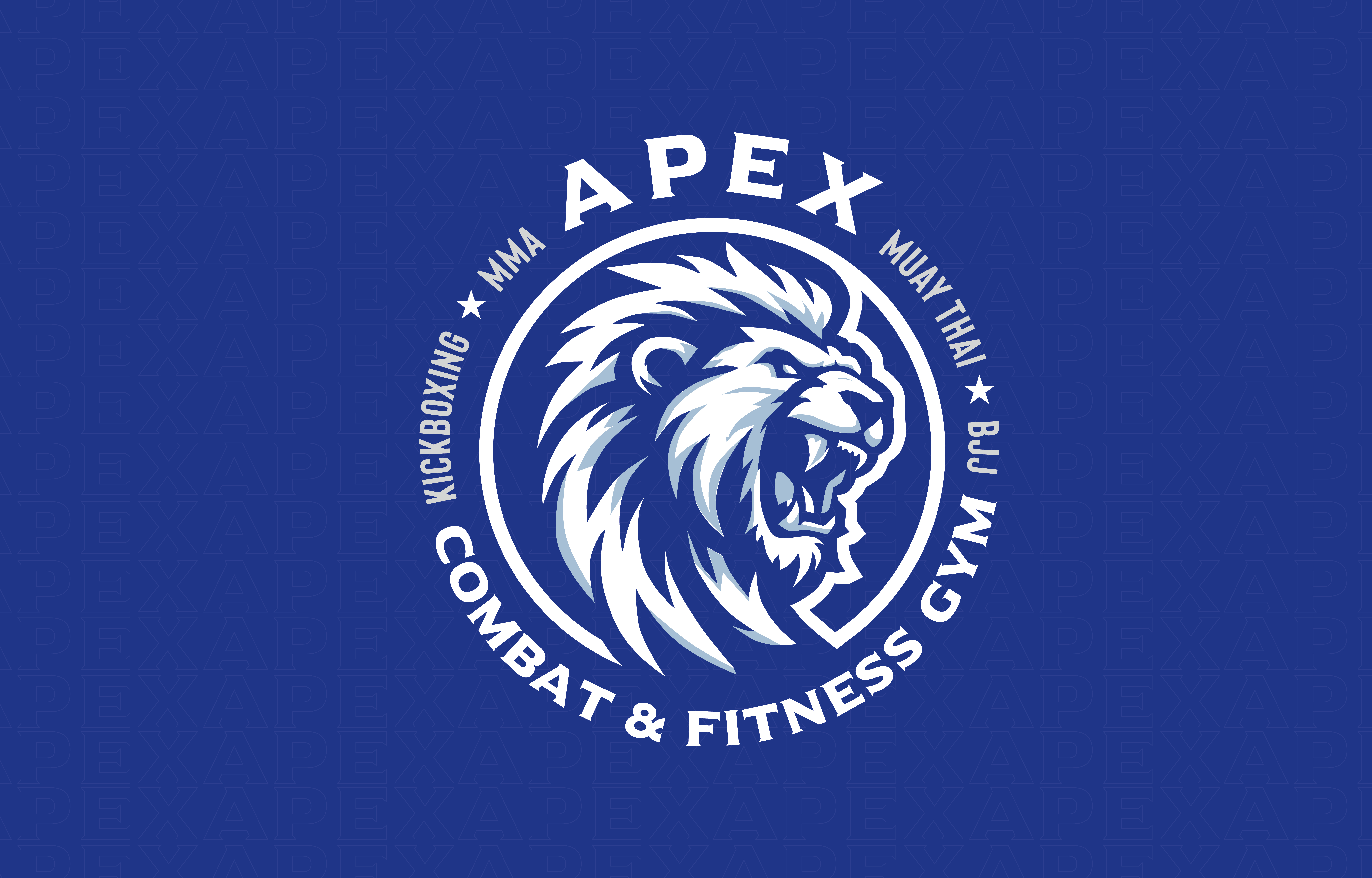 APEX COMBAT AND FITNESS GYM academy image