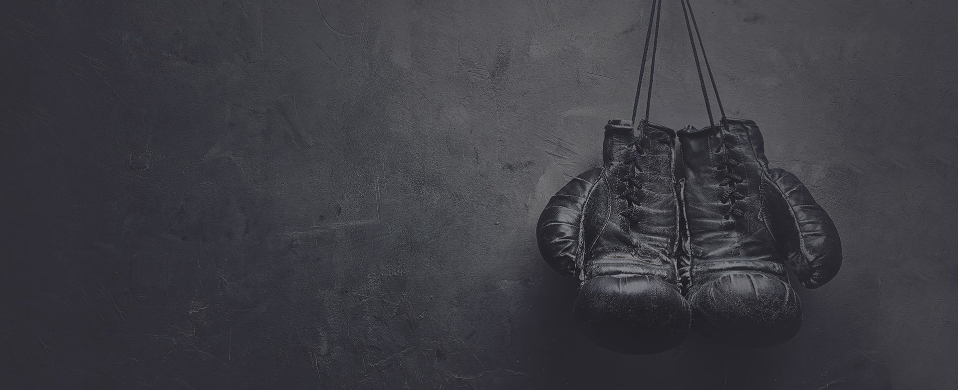 Lokša Boxing Gym academy photo