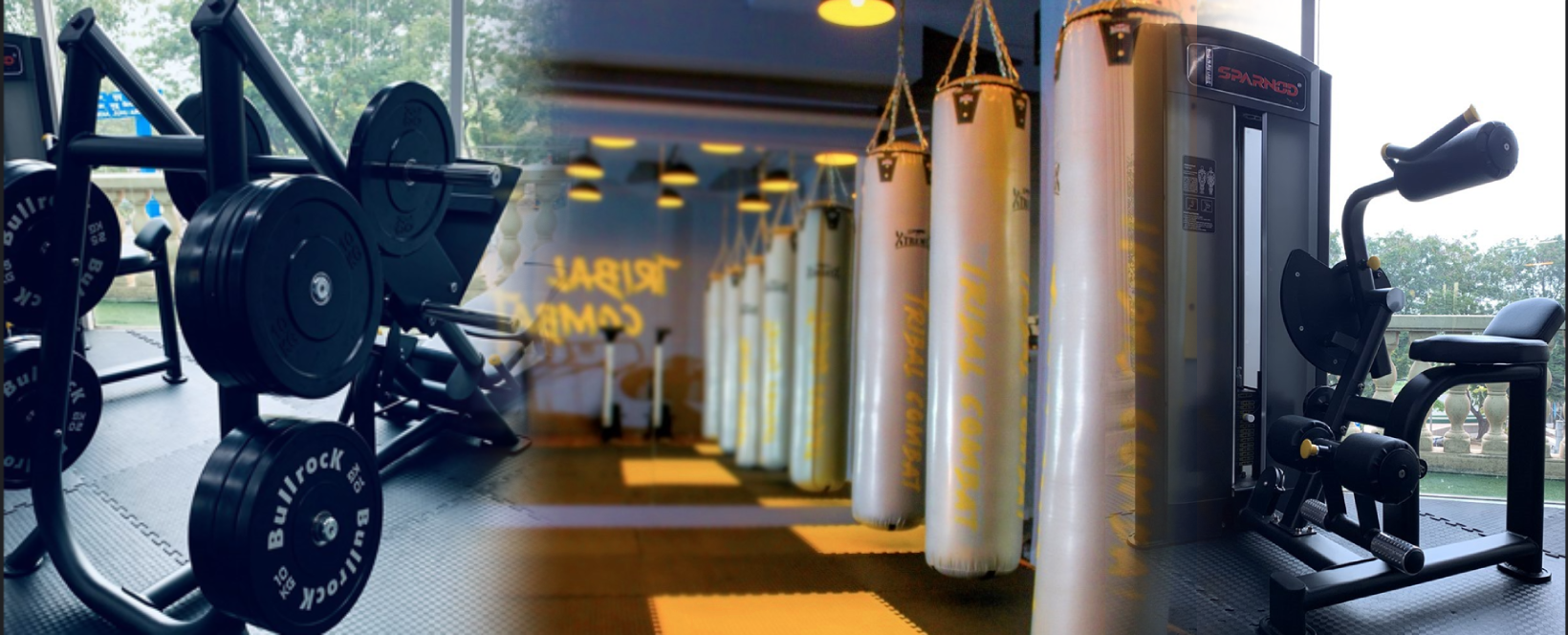 Main image of Tribal Combat Fitness Pro