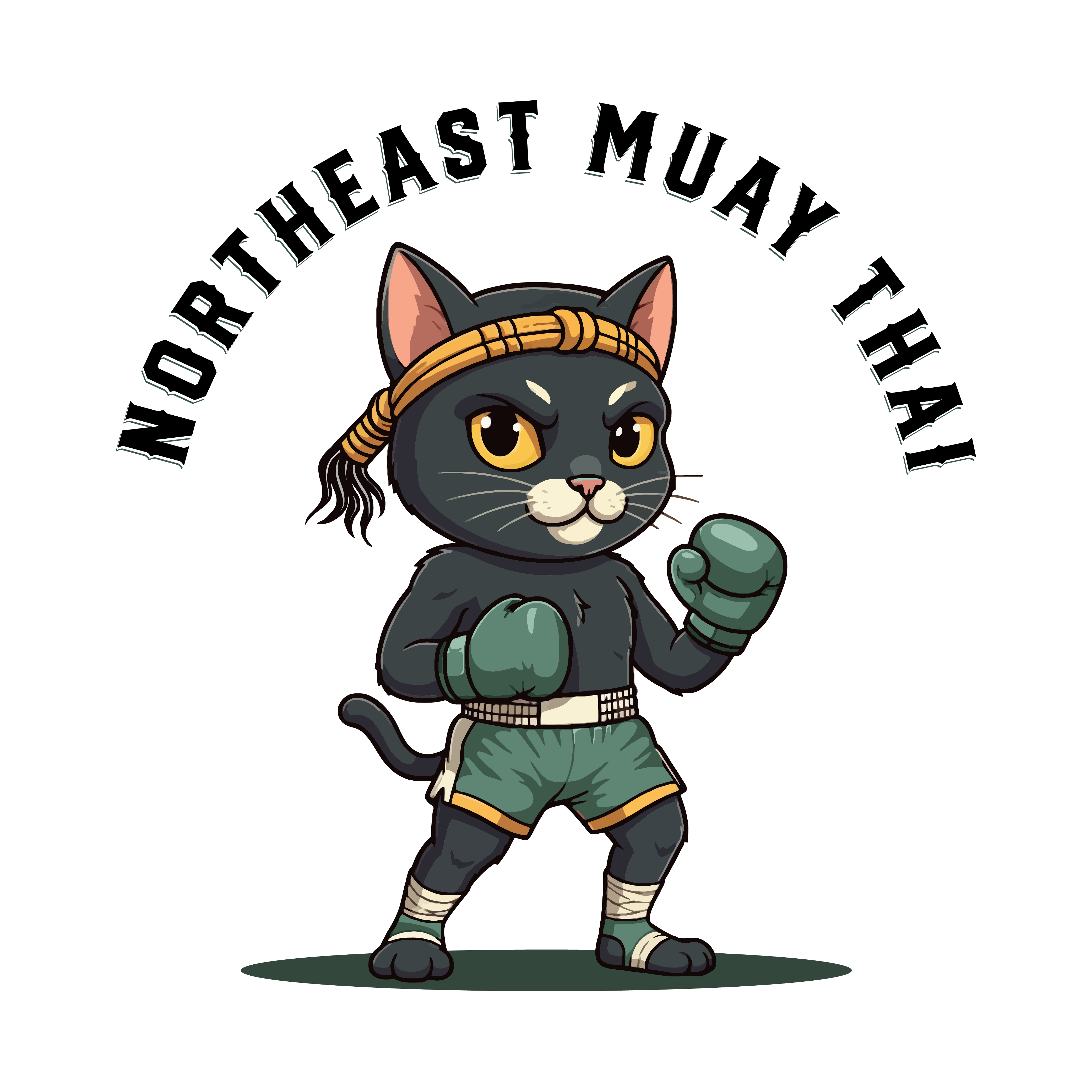 Northeast Muay Thai academy image