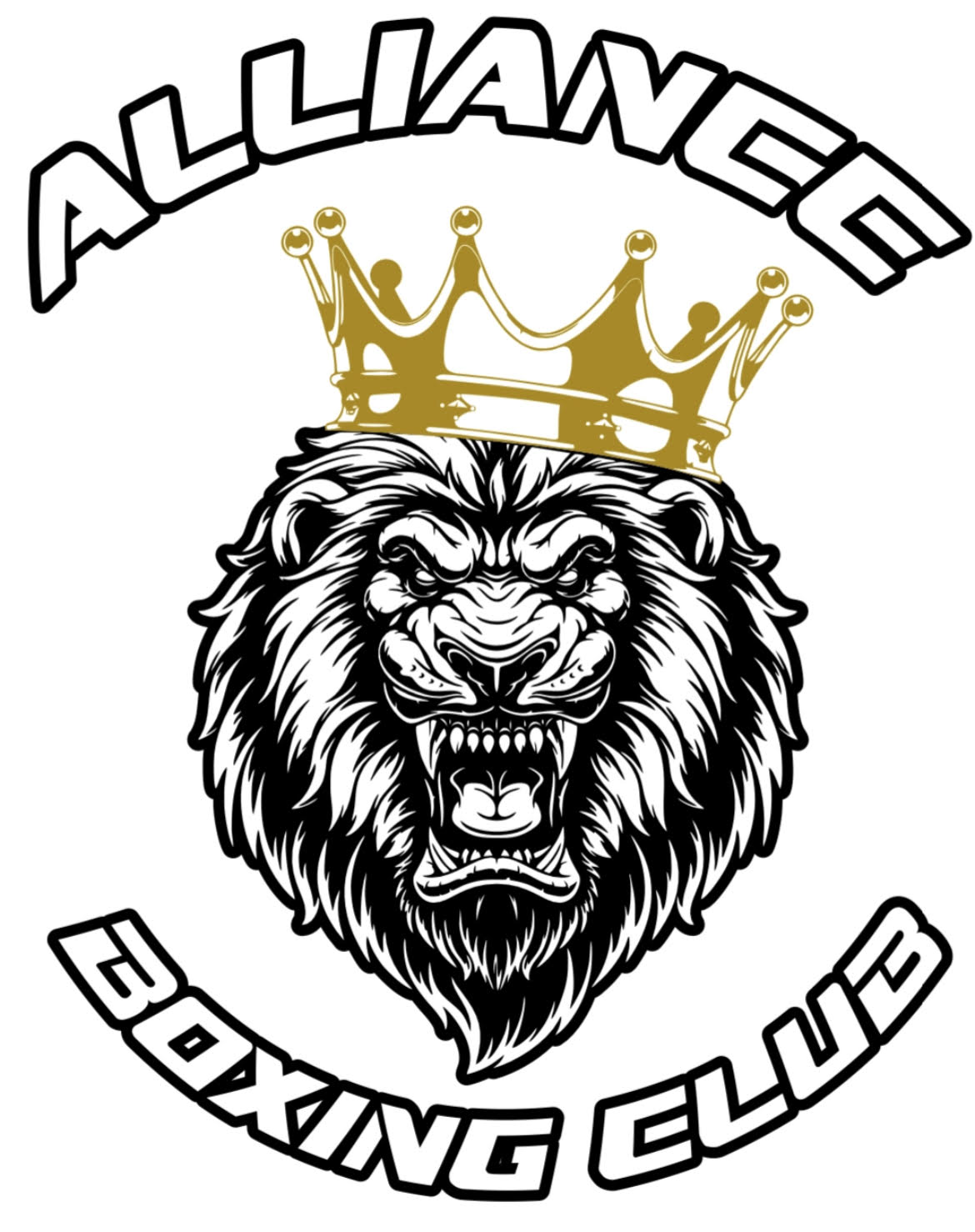 Alliance Boxing Club academy photo