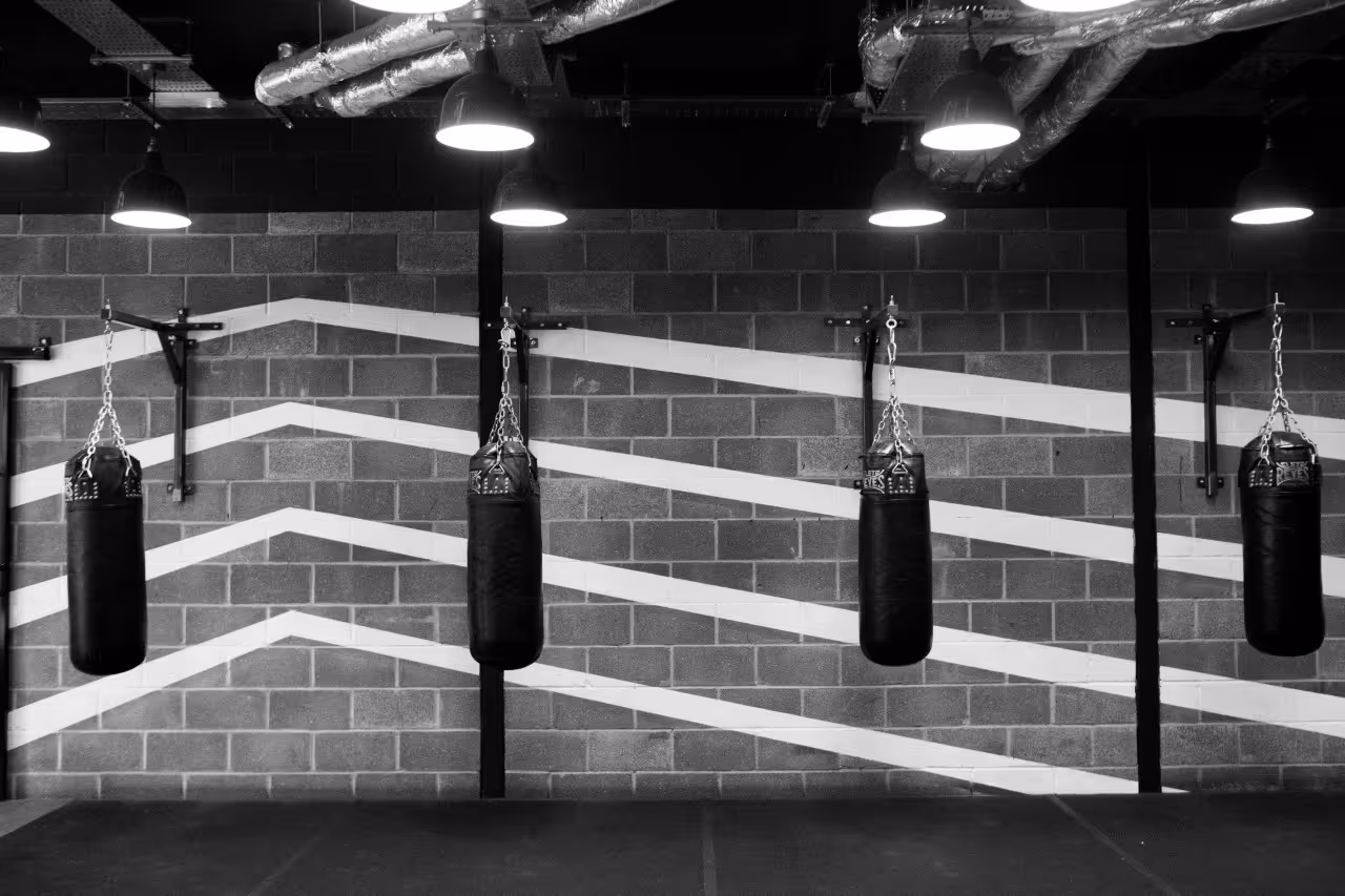 12x3 Boxing academy photo