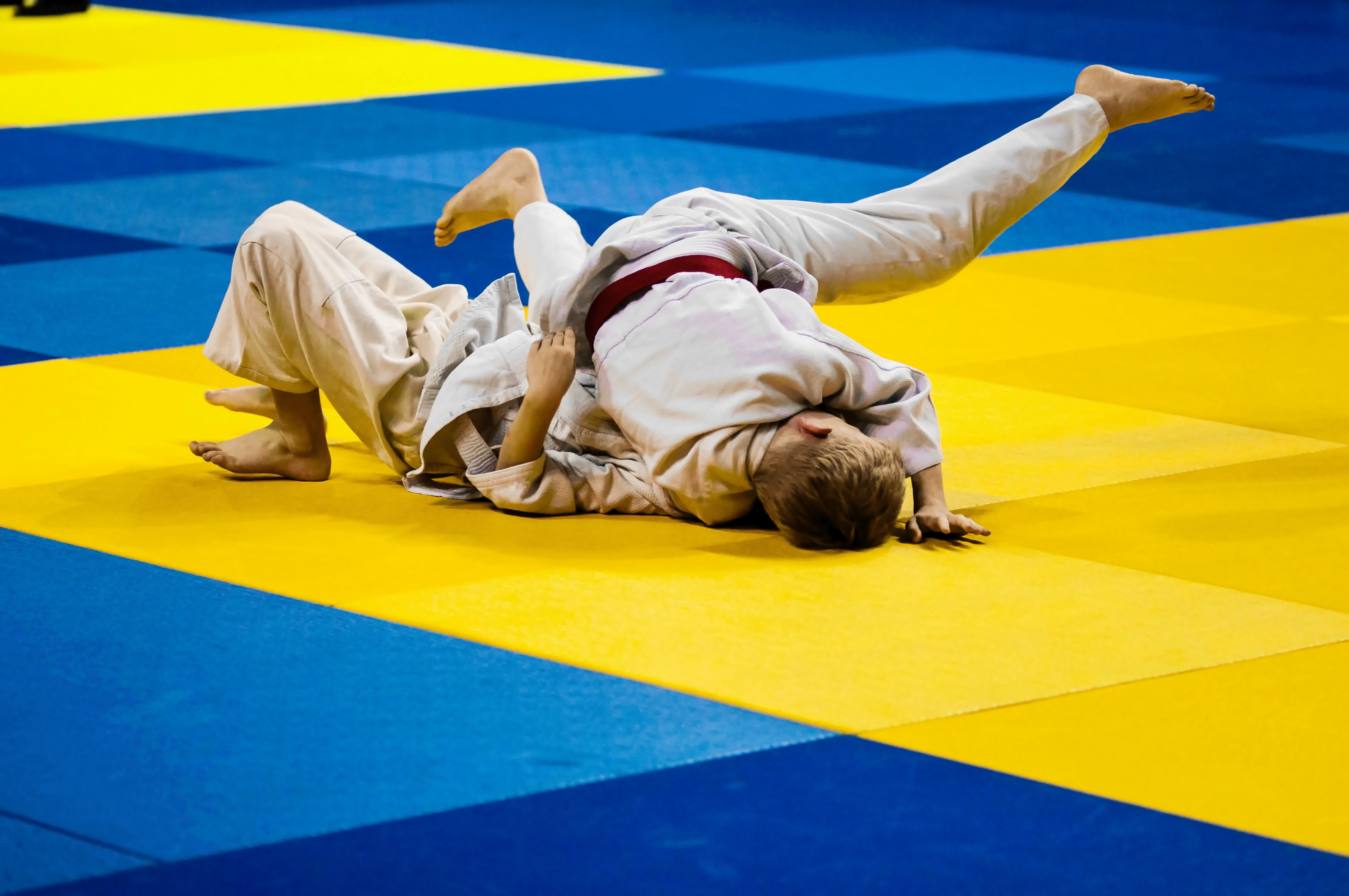 Main image of Judokan