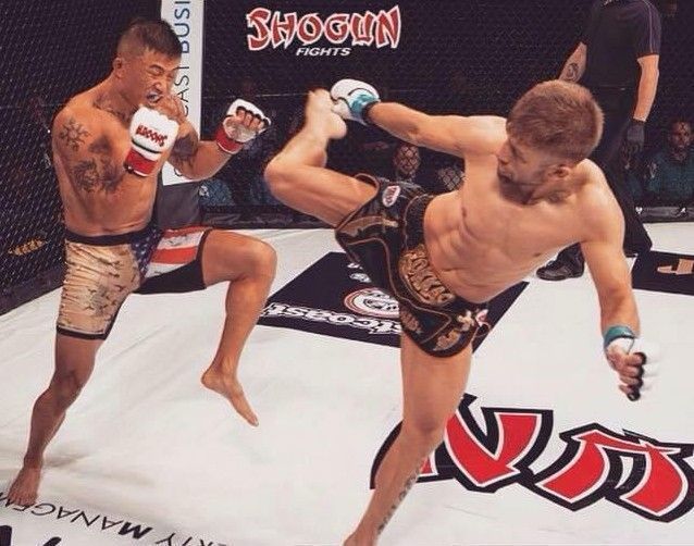 Wolf MMA