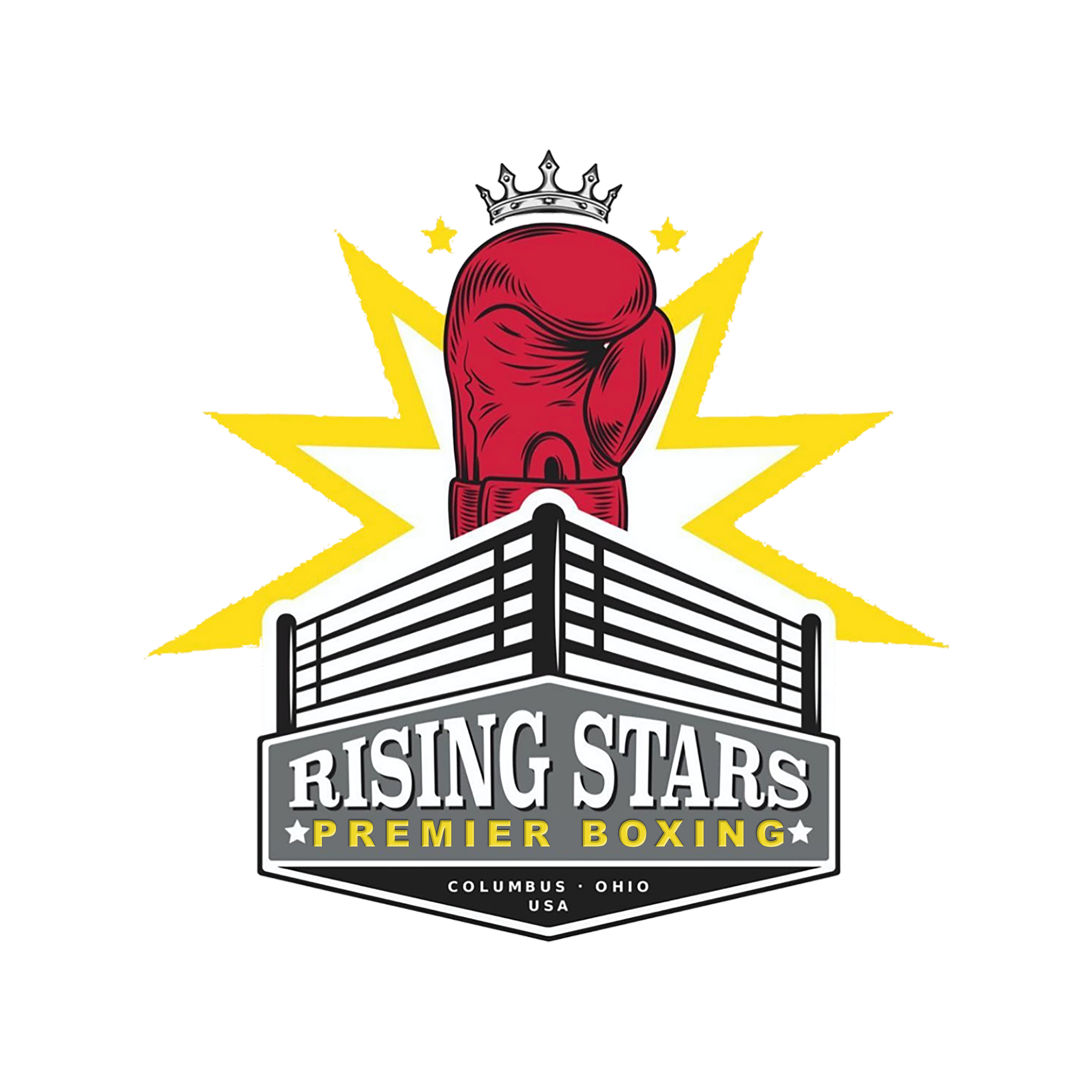 Rising Stars Boxing Gym academy photo