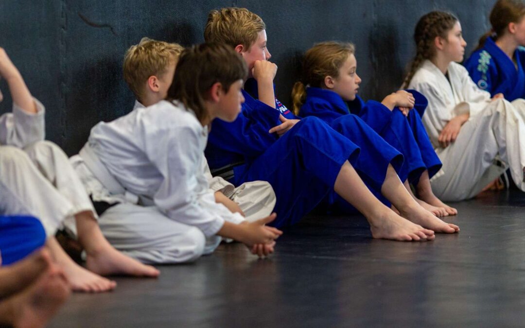 Illinois Martial Arts Academy