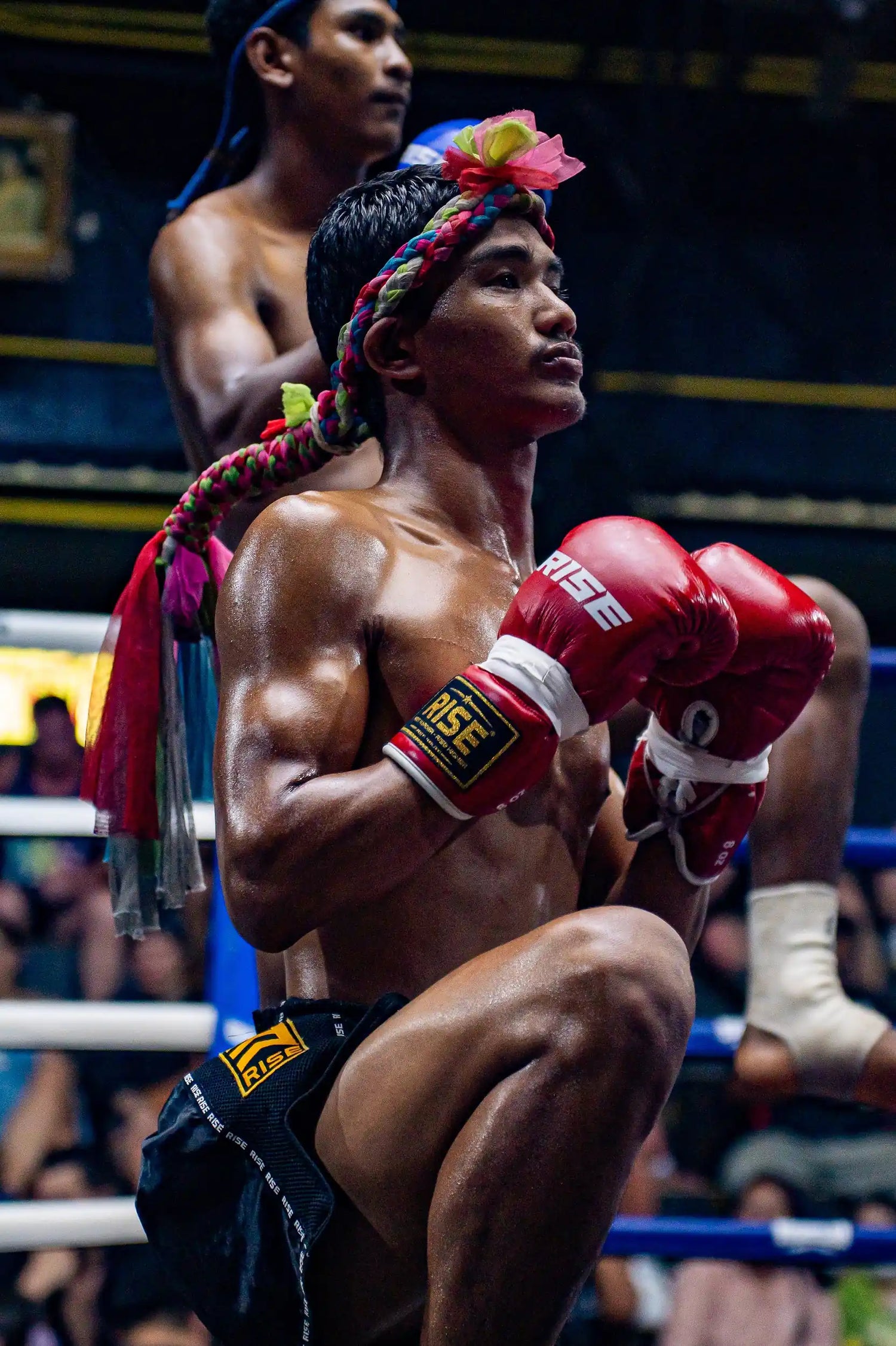 RISE FIGHT GEAR CHALONG | Muay Thai, MMA & Boxing Shop academy photo