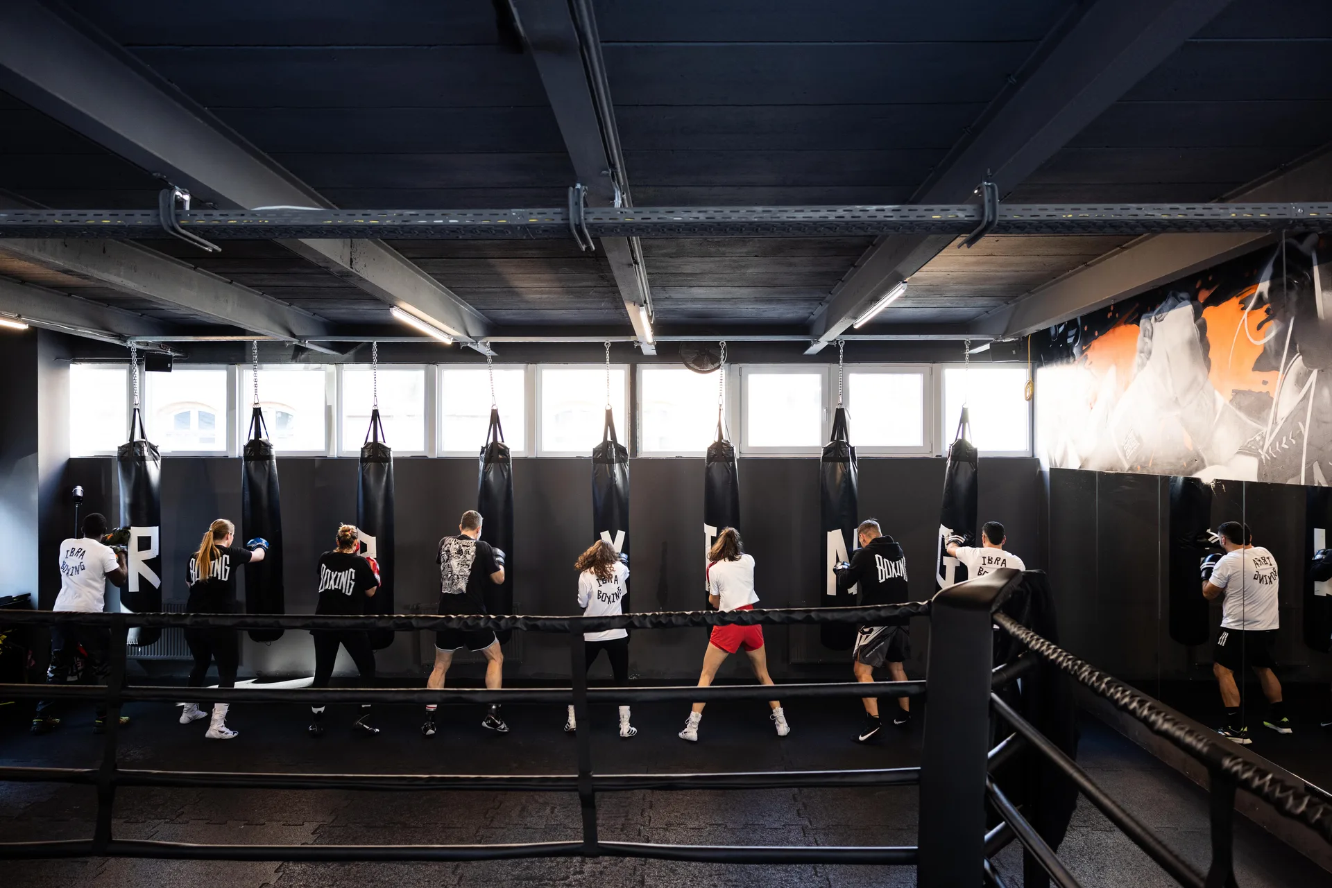 IBRA BOXING academy photo