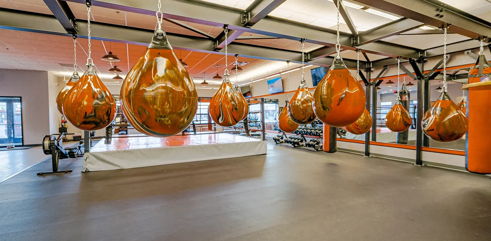 3P Boxing 247 academy photo