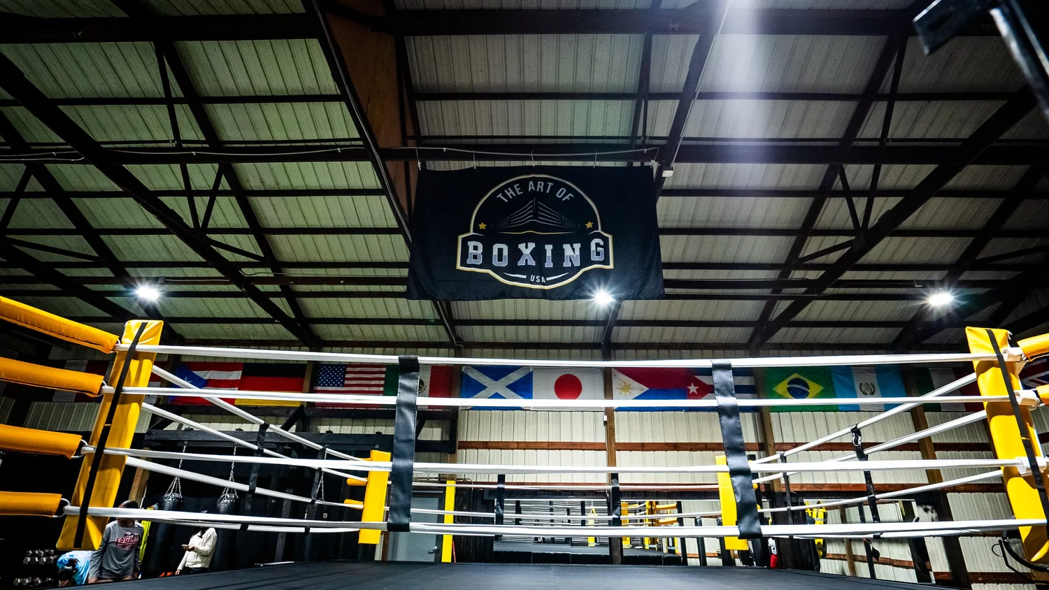 Art of Boxing USA academy photo