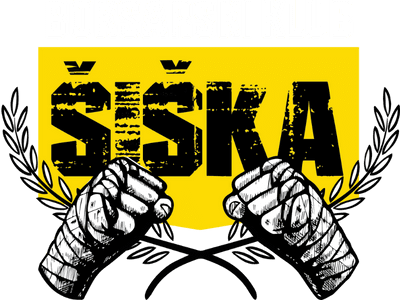 Boksarski klub Šiška - Šiška boxing academy image
