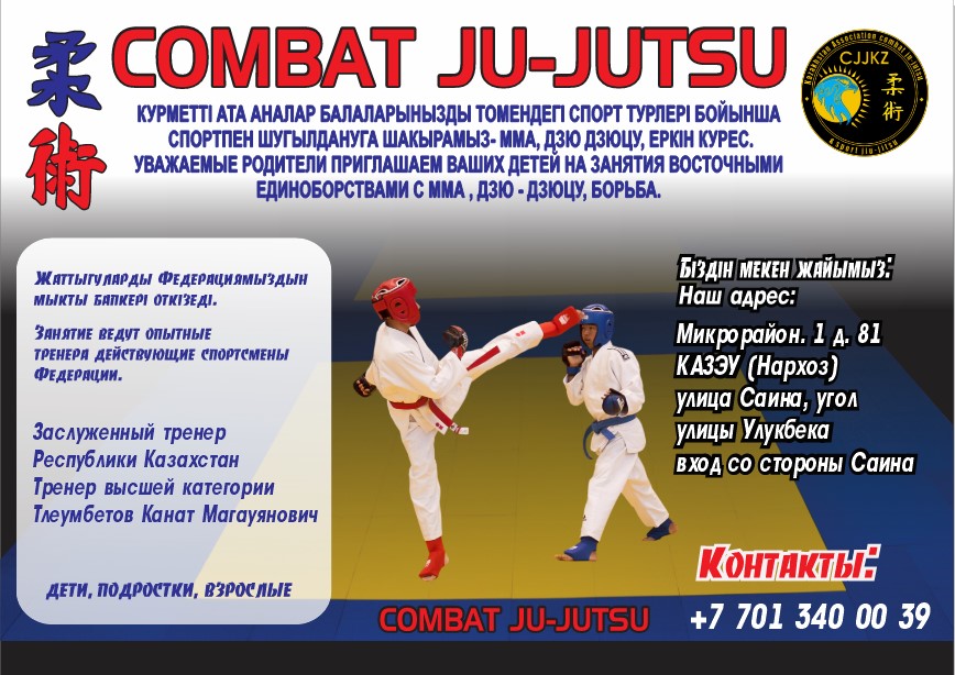 Main image of Джиу-джитсу Profi Fight