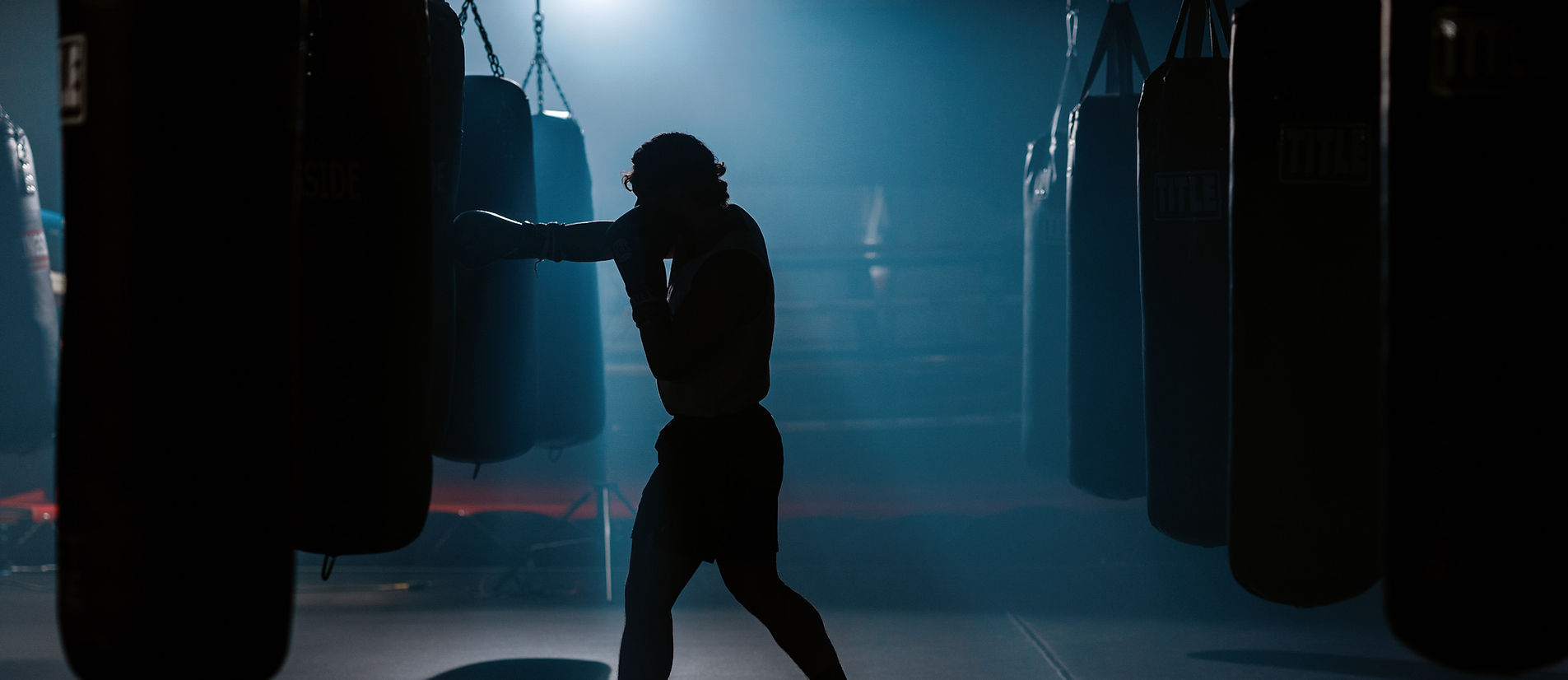 Macomb Boxing Club academy image