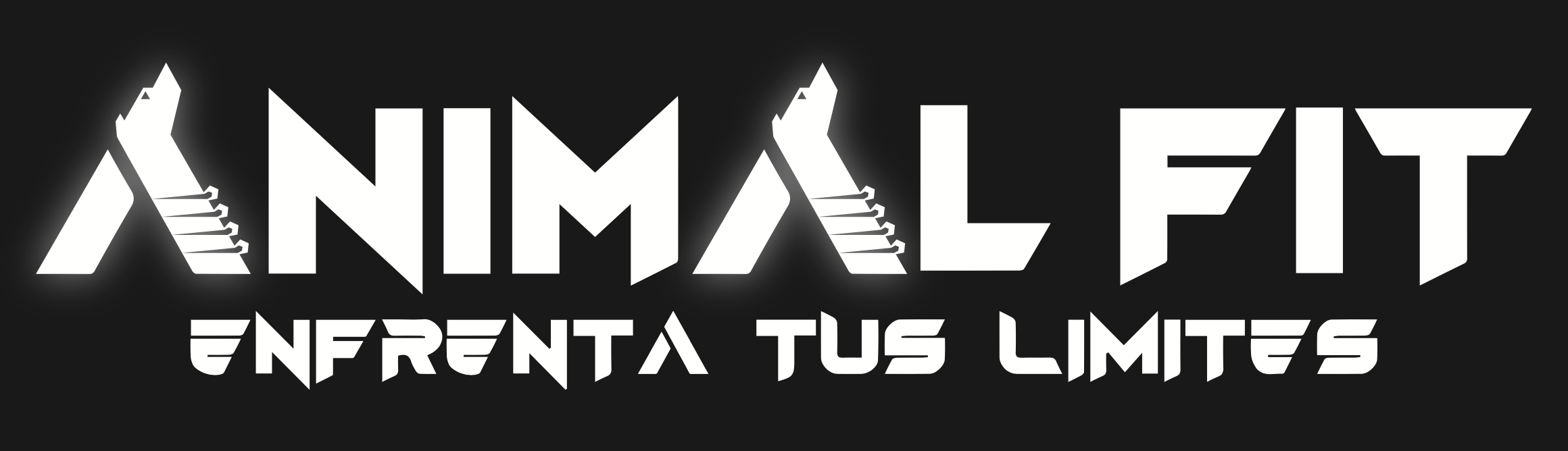 Main image of MMA Animal Figther