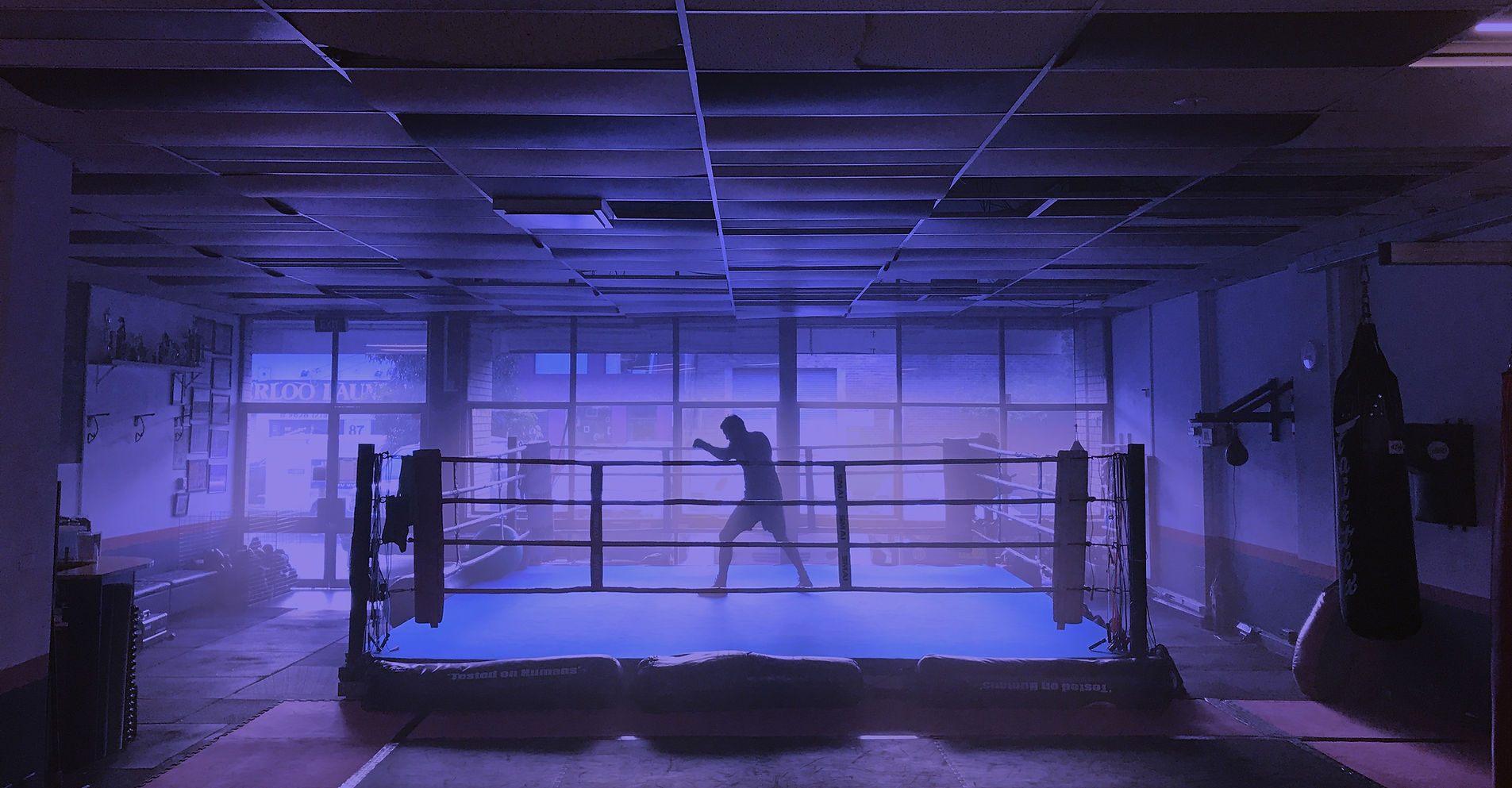 No Quarter Boxing Gym academy image