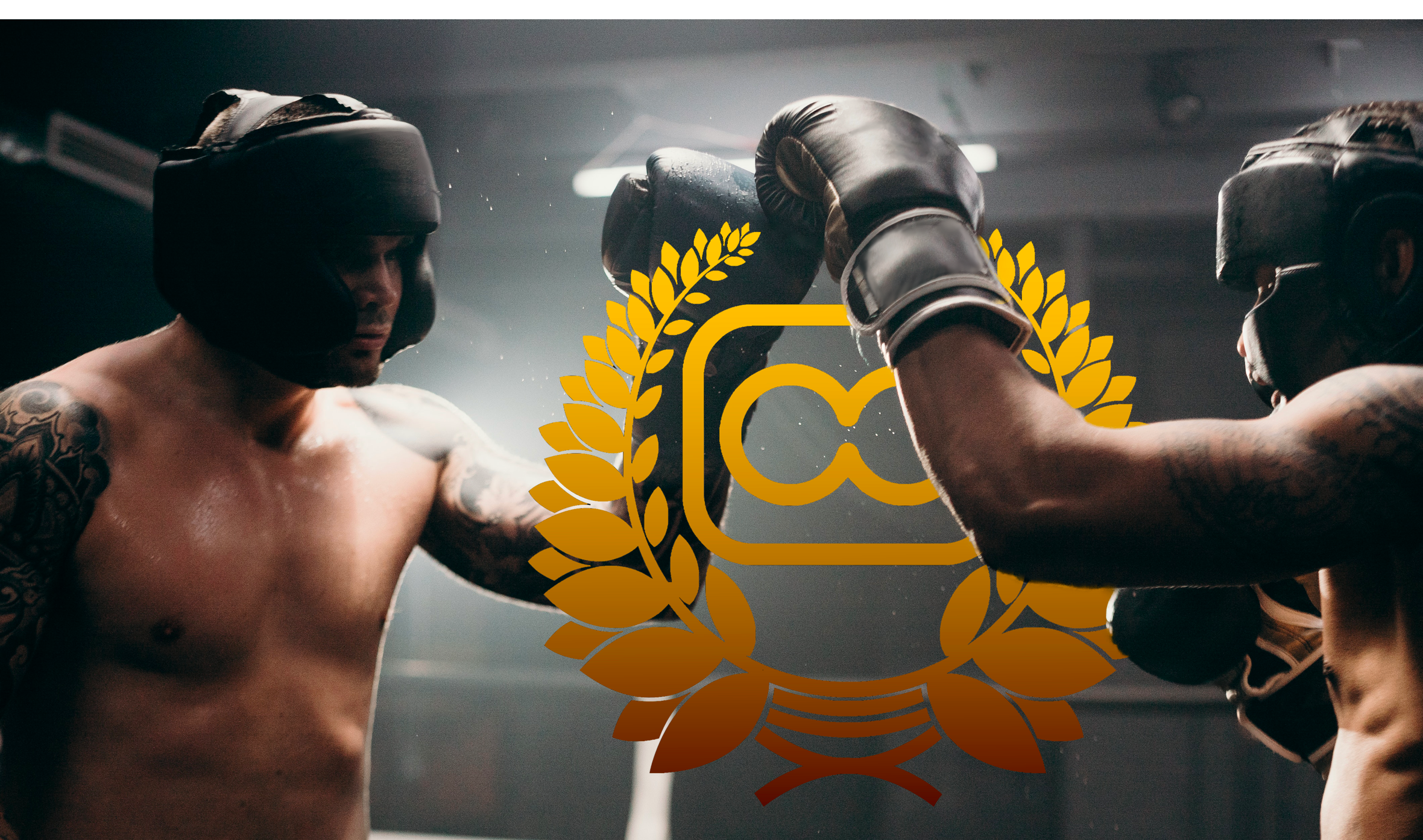 Sk Boxing Praha academy photo
