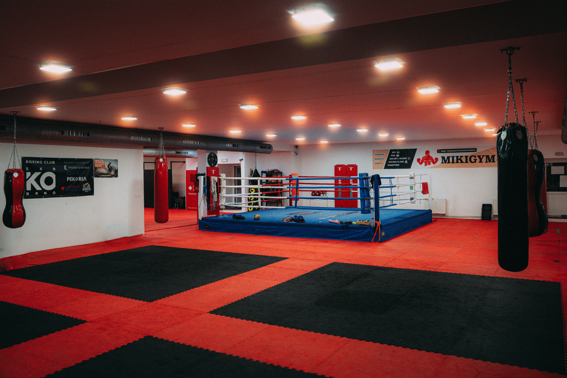 KO BRNO BOXING CLUB academy image