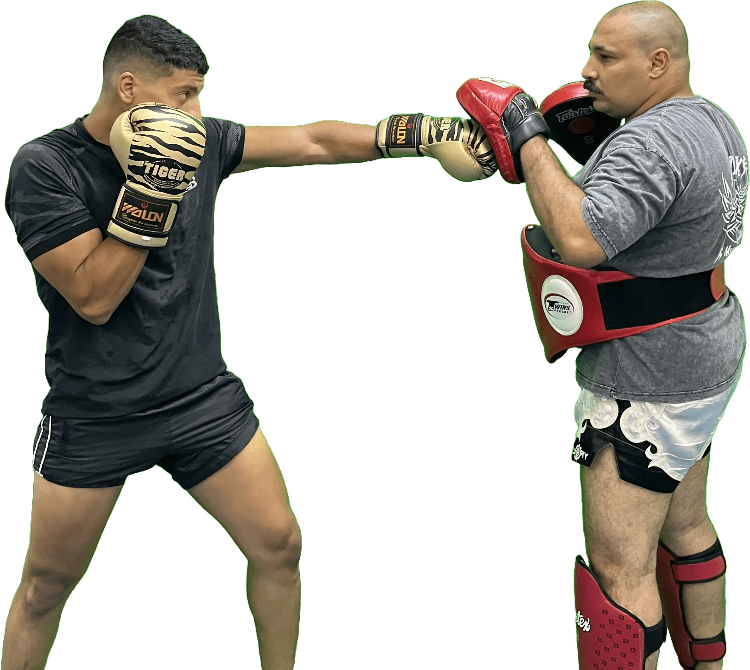 Sphinx Muay Thai team academy photo