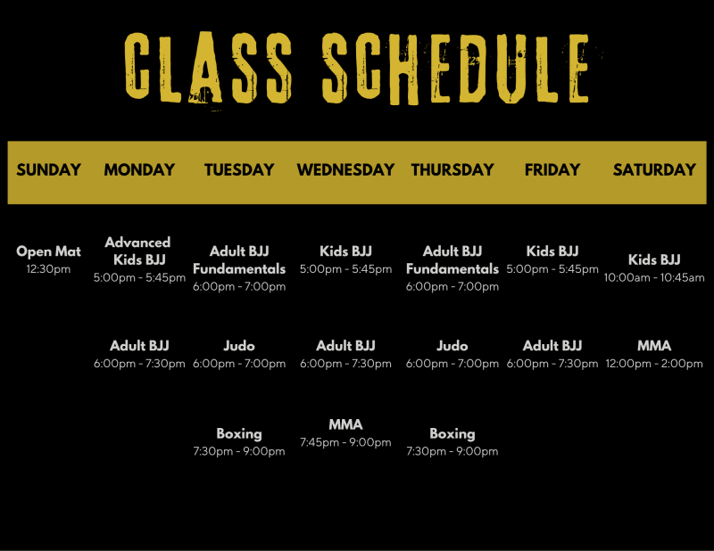 Revolution Brazilian Jiu Jitsu