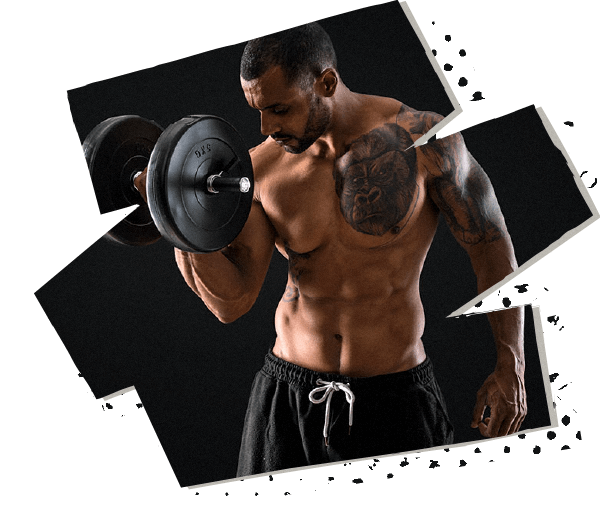 BETA Academy | Brazilian Jiu-Jitsu, Muay Thai & MMA academy photo