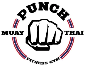 Punch Muay Thai Fitness Gym academy photo
