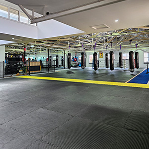 Adelaide Kickboxing Academy academy photo