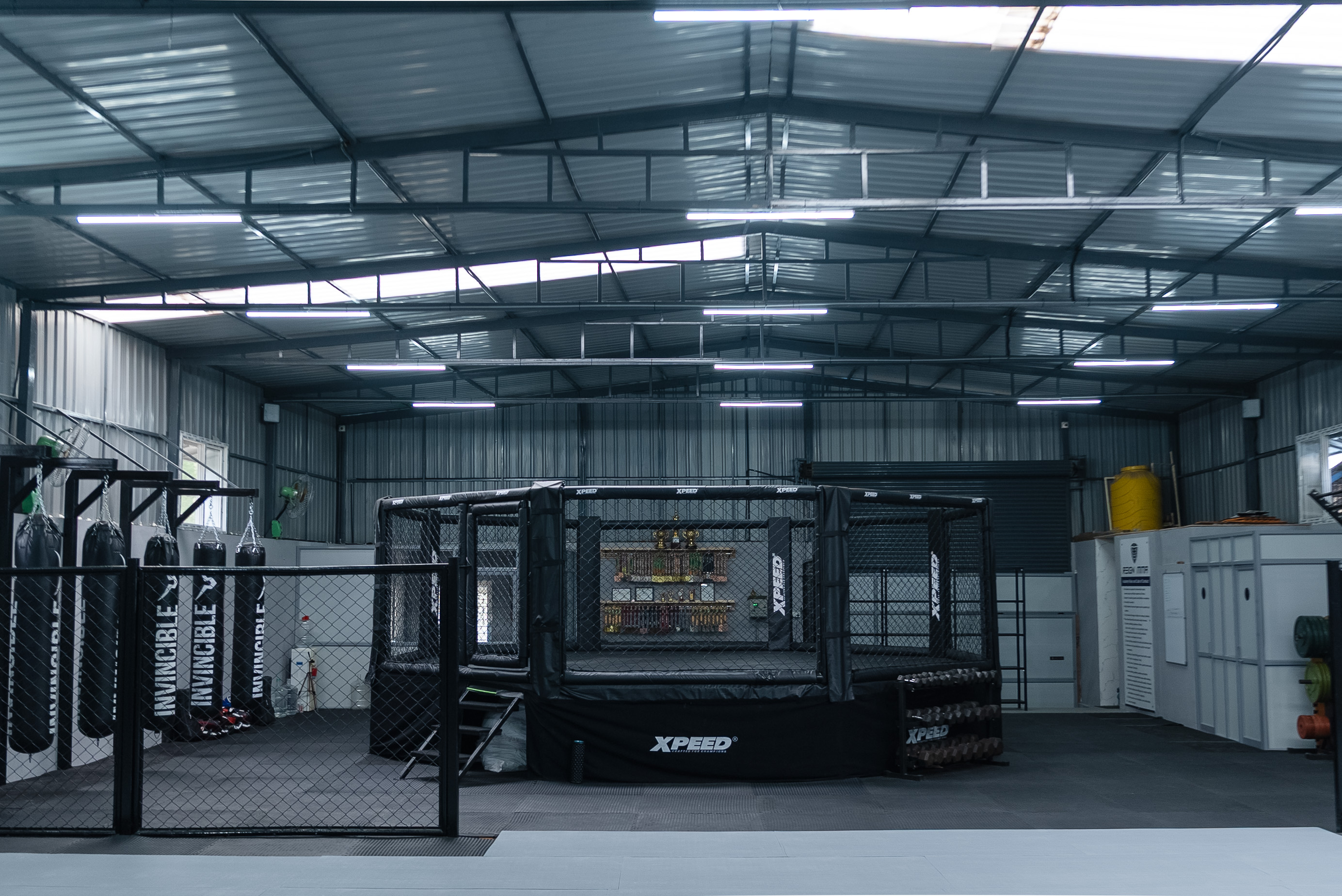 Main image of Reign MMA
