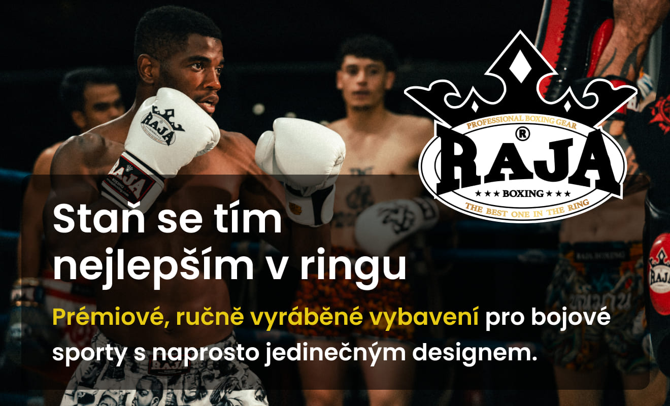 Raja Boxing Czech academy image