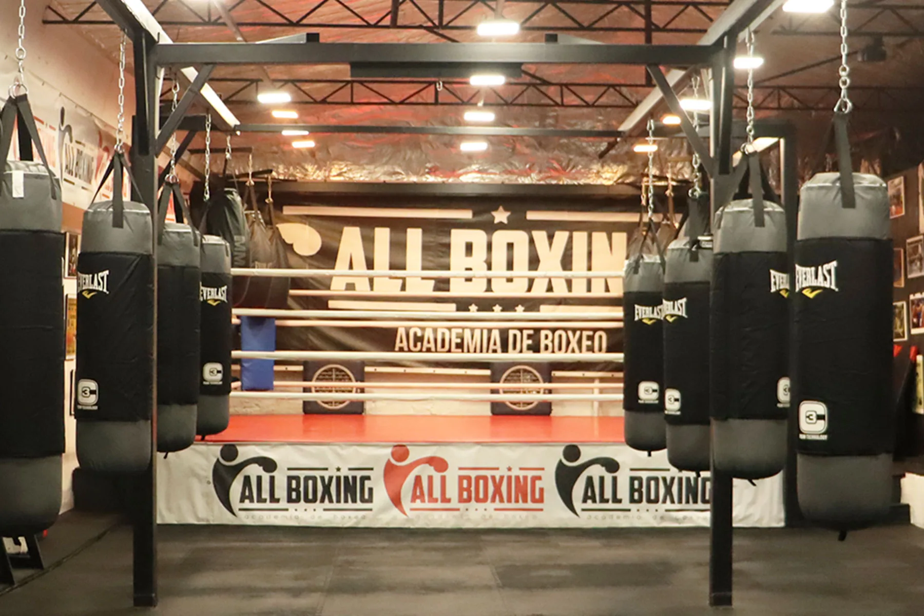 All Boxing academy image