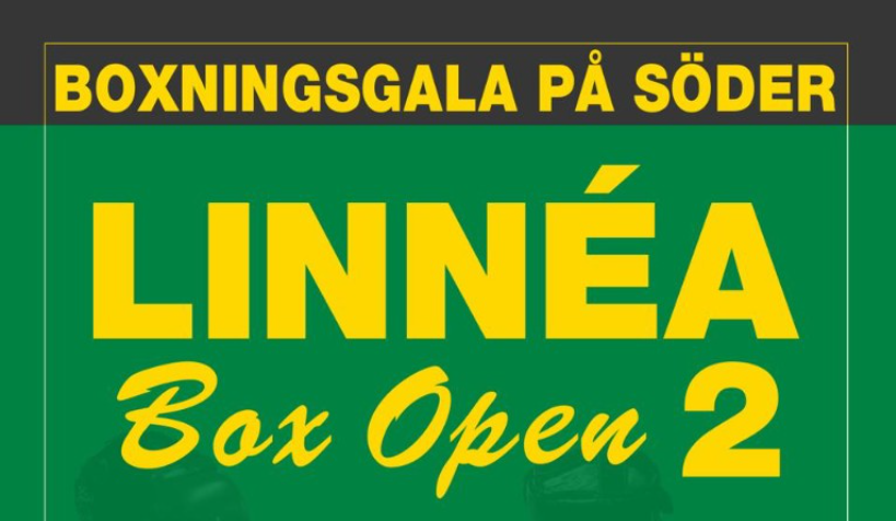 IF Linnéa Boxning academy photo