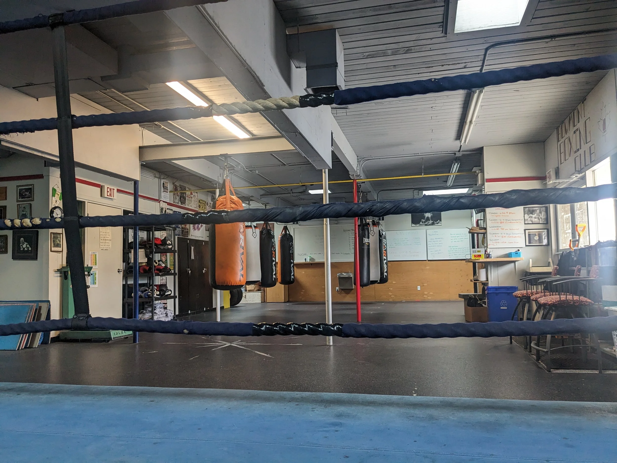 Bowmont Boxing Club academy photo