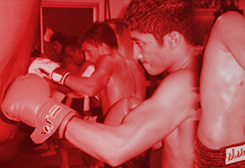 Rays Muay Thai & Fitness Academy academy photo