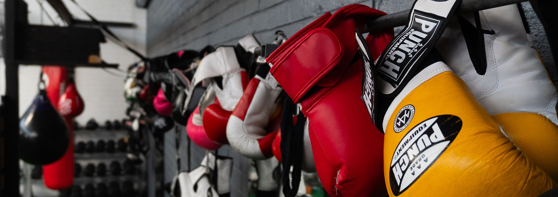Ringside Boxing & Fitness academy photo
