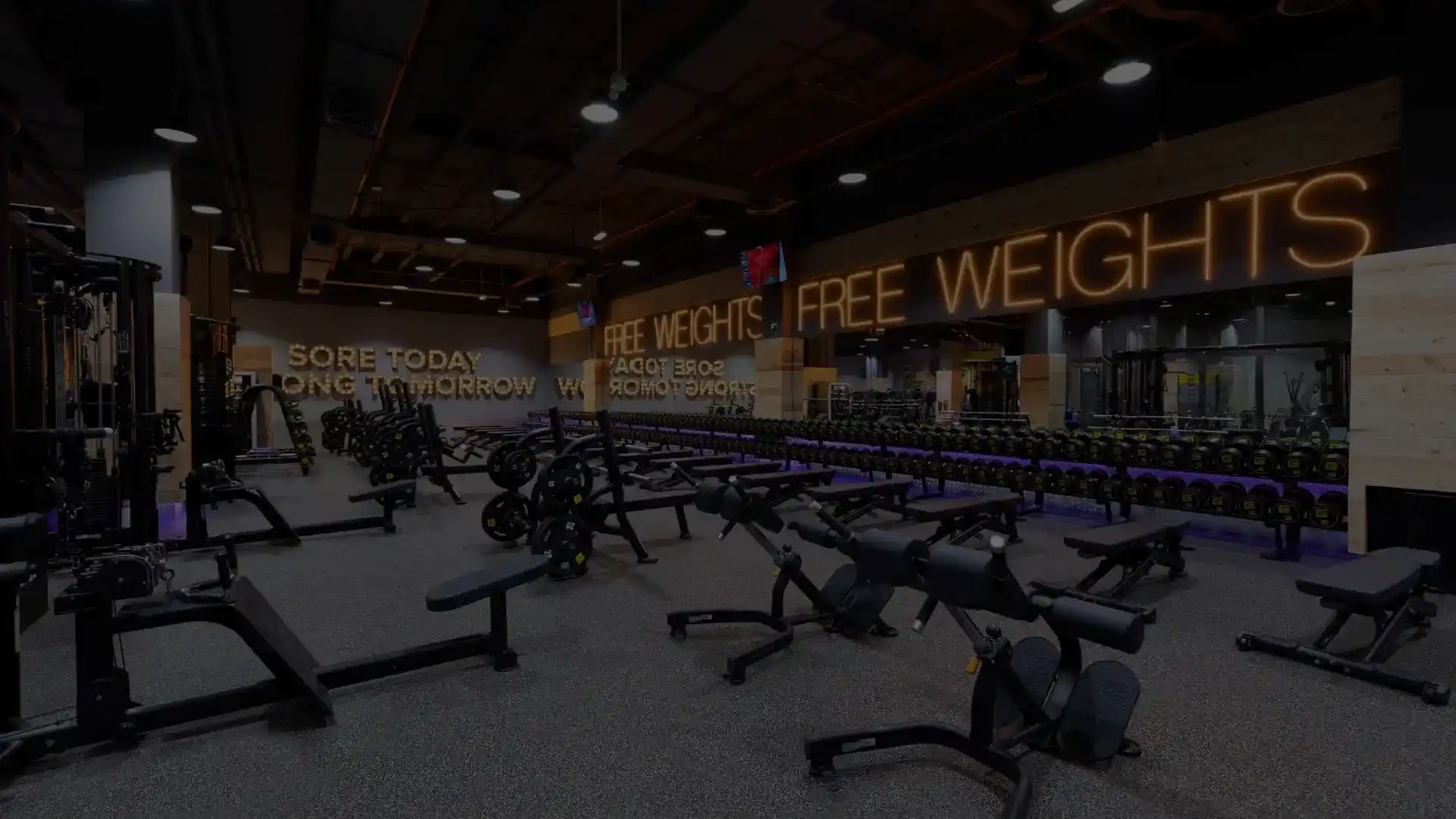 GymNation Mega Mall Men's | Best Gym in Sharjah academy photo