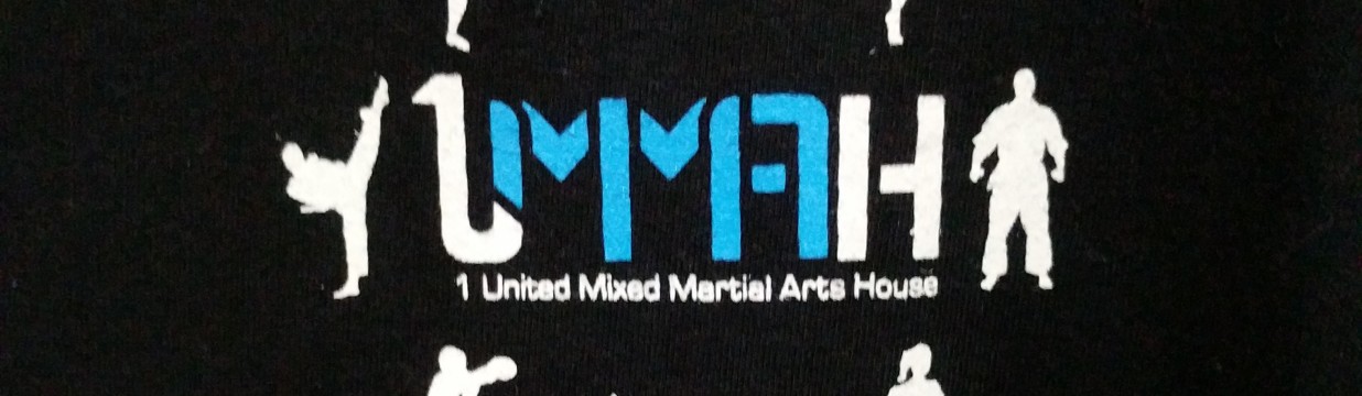 1 United MMA House