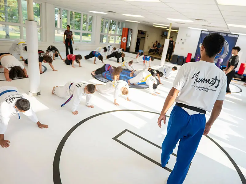 1 United MMA House