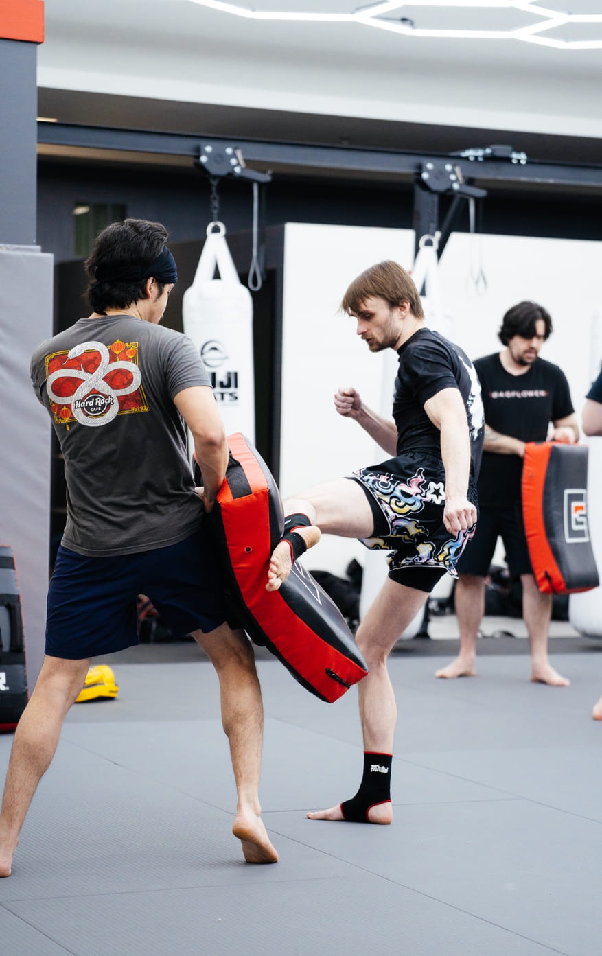 Dragon Leg Muay Thai Kickboxing Novi academy image