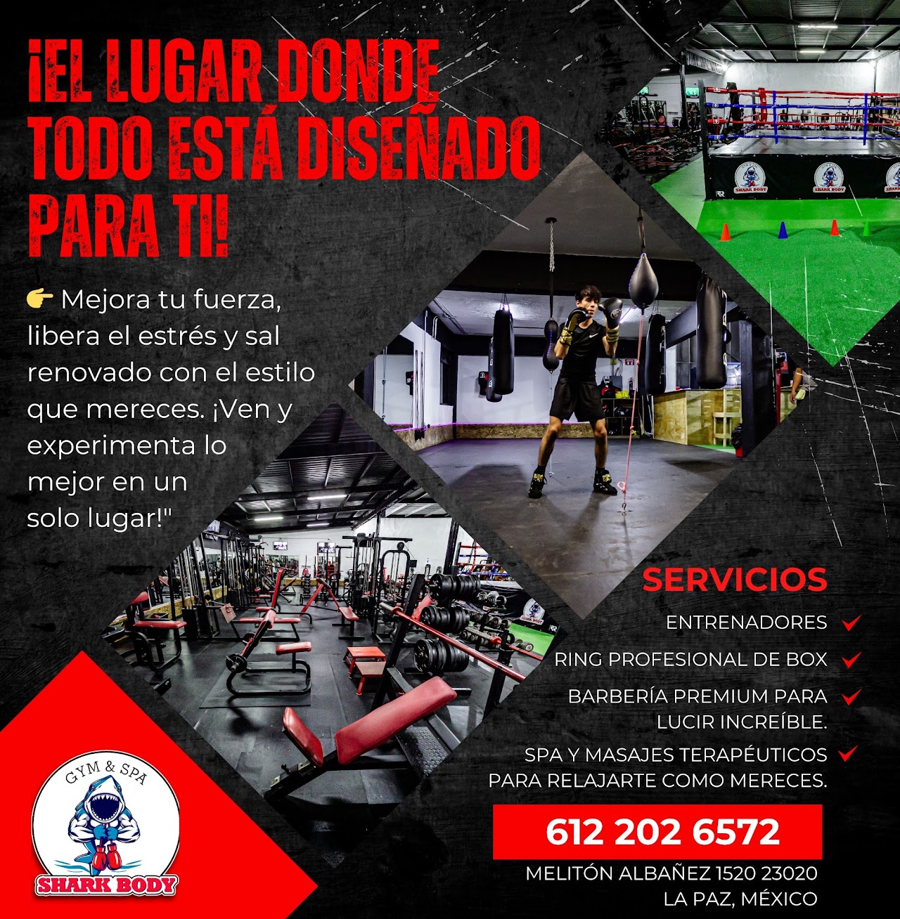 Shark body gym academy photo