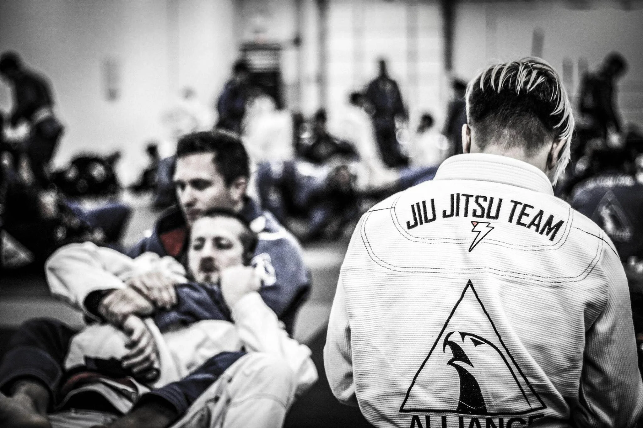 Main image of Evolution MMA Chicago - Schaumburg