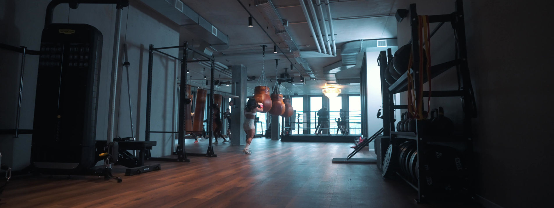 LE CARRE Boxing club academy photo