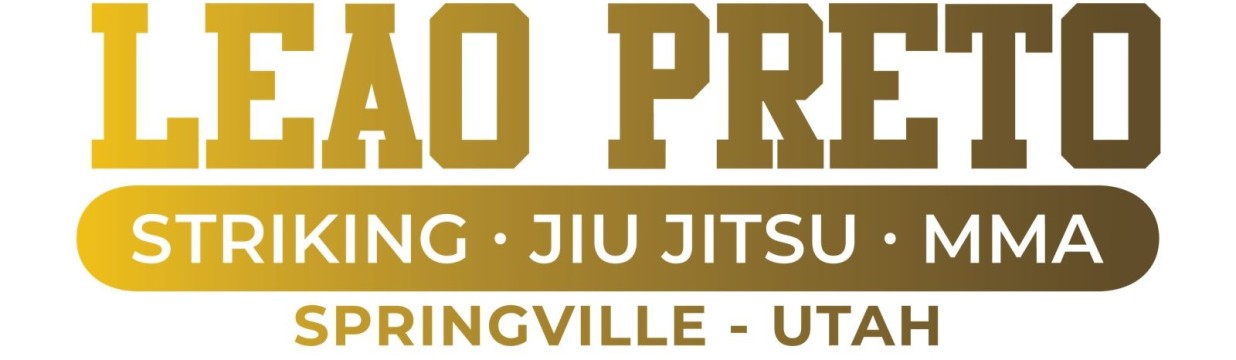 Main image of Leao Preto MMA