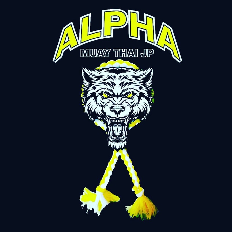 CT Alpha Muay Thai academy photo