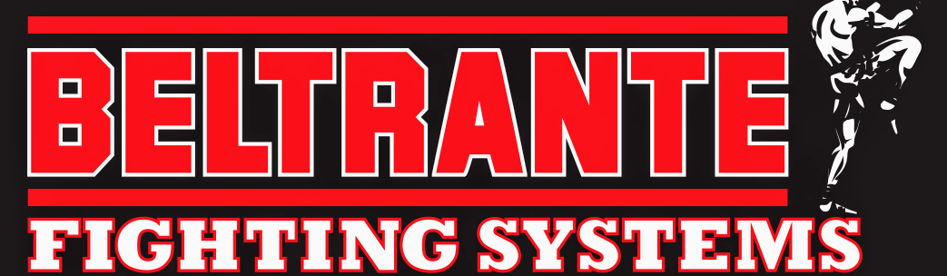 Main image of Beltrante Fighting Systems