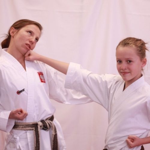 DOJO United Łódź - Karate Kickboxing MMA BJJ Łódź Dzieci I Dorośli Centrum Sztuk Walki academy image