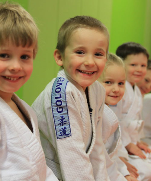 Main image of Judo klub golovec