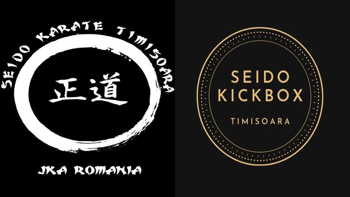Seido Kickbox Timisoara academy image